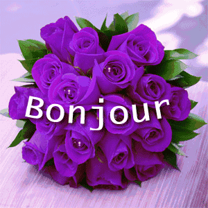 Gif animé bonjour roses violettes